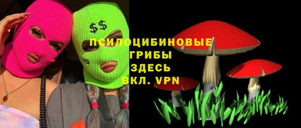 дмт Россошь