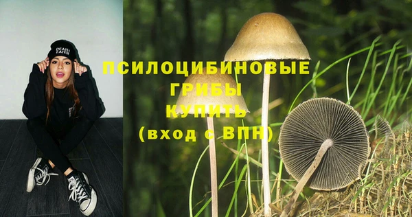 круглые Алексеевка
