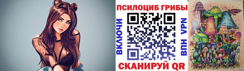 Псилоцибиновые грибы Psilocybine cubensis  Лесной 